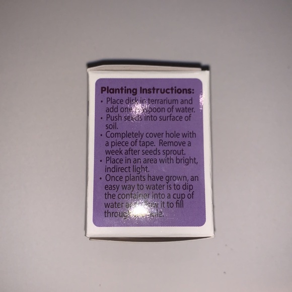 Tiny terrarium - Picture 2 of 4